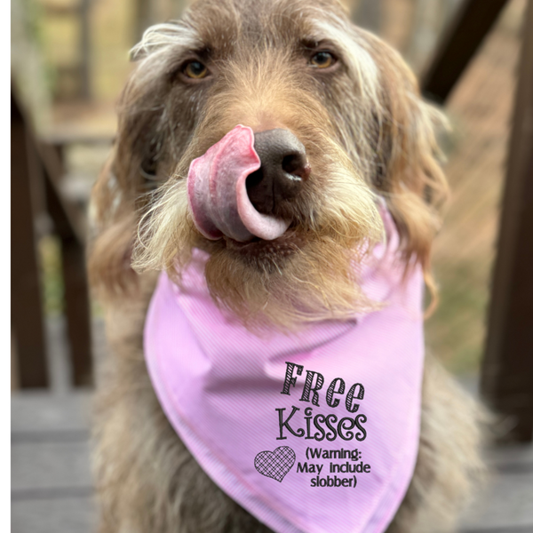 Free Dog Kisses Dog Bandana, Plaid or Striped Embroidered Dog Handkerchief, Valentine Dog Bandana - White Tulip Embroidery