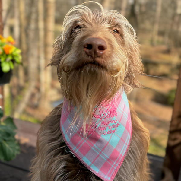 Free Dog Kisses Dog Bandana, Plaid or Striped Embroidered Dog Handkerchief, Valentine Dog Bandana - White Tulip Embroidery