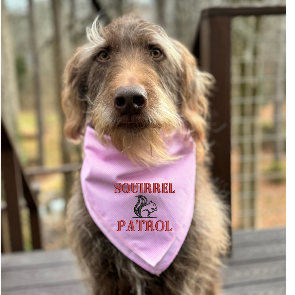 Squirrel Patrol Dog Bandana, Plaid or Striped Embroidered Dog Handkerchief, Funny Dog Bandana - White Tulip Embroidery