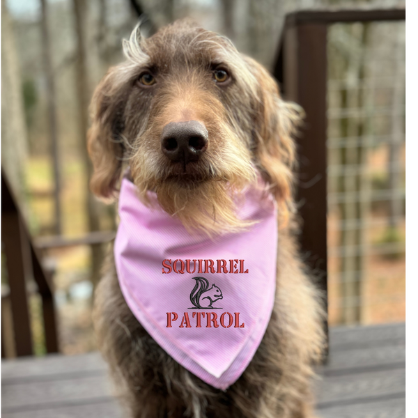 Squirrel Patrol Dog Bandana Plaid or Striped Embroidered Dog Handkerc White Tulip Embroidery