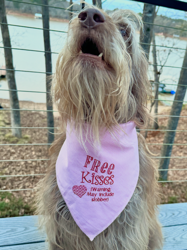 Free Dog Kisses Dog Bandana, Plaid or Striped Embroidered Dog Handkerchief, Valentine Dog Bandana - White Tulip Embroidery