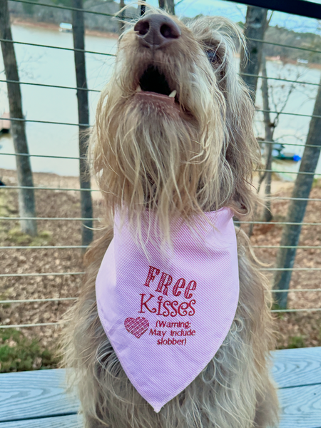 Valentines dog shops bandana